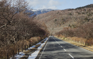 Mountain road in Nikko, Japan