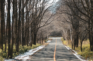 Mountain road in Nikko, Japan