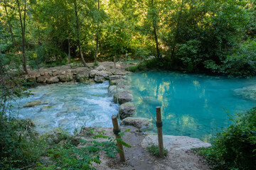 Parco Fluviale dell'Elsa (River park of river Elsa) in Colle Val d'Elsa, Tuscany - obrazy, fototapety, plakaty