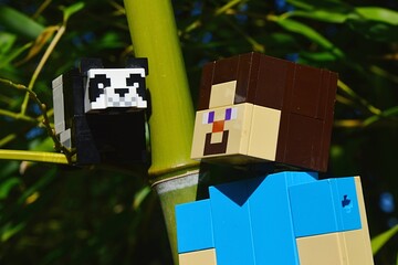 Obraz premium LEGO Minecraft large action figure of Steve looking at small LEGO Minecraft Panda bear sitting on side branch of real bamboo plant of Phyllostachys genus, daylight sunshine. 
