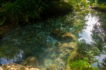 Parco Fluviale dell'Elsa (River park of river Elsa) in Colle Val d'Elsa, Tuscany
