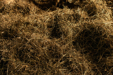 straw for cattle strawberry hay in a flock hay on the farm nature background