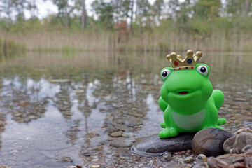 Froschkönig am Wasser