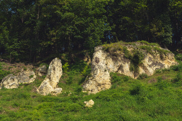 Marlstone hill overgrown with grass and trees in a sunny landscape.