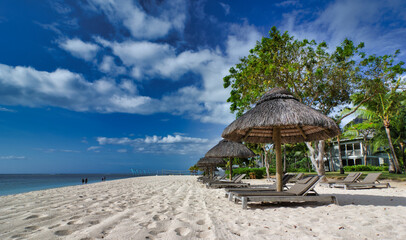 beach with trees