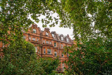 Facade of English Cistorian Style terraced Townhouses behind green foliage in Chelsea London