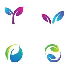 Obraz premium leaf logo and vector images
