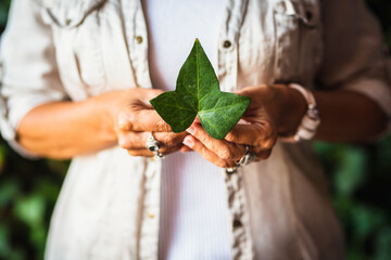 Mature woman wearing rings in fingers and holding green ivy leaf, woman showing green fresh leaf....
