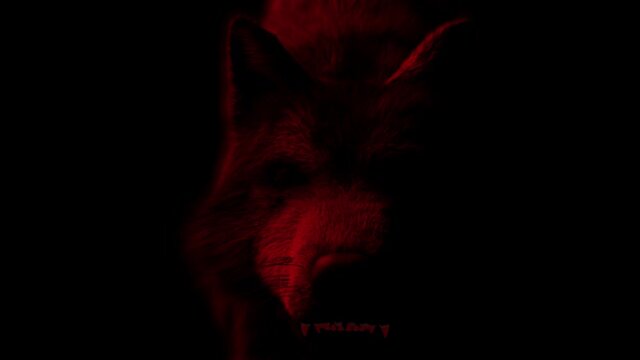Scary Wolf: The monster comes out of the dark, growls and bites. Disturbing lighting of the animal creates a horror atmosphere.