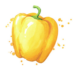 juicy ripe yellow sweet bell pepper watercolor ilustration
