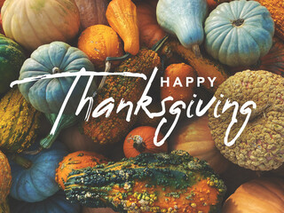 Happy Thanksgiving handwritten script text with pumpkins, squash and gourds colorful background texture - obrazy, fototapety, plakaty