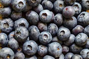 Heap of many ripe blueberry fruits, can be used as a background, Sofia, Bulgaria 