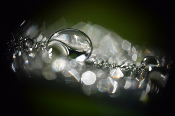 Gotas Rocio