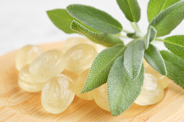 Sage lozengers for care sore throat and cough. Leaves of sage or salvia officinalis plant.