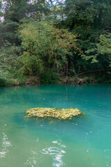 Parco fluviale dell'Elsa (Elsa River parc) in Colle val d'Elsa, Tuscany, along the via Francigena, Italy