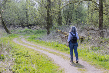 Mature female tourist walking on a path with her back to the camera among the vegetation in oostvaardersplassen with trees with in the background, sunny day in Lelystad, Flevoland, Netherlands