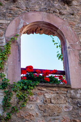 antique window detail with flowers