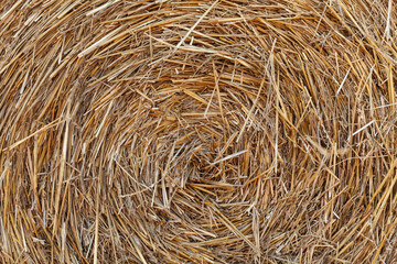 Rural nature in farmlands. Macro shot of golden hey bale. Yellow straw stacked in a roll. Wheat harvest in the summer. Straw textured background
