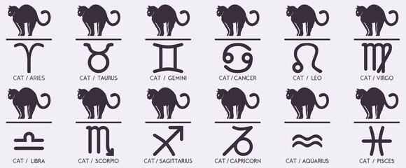Vector Year of the cat Animal icons eastern annual horoscope and zodiac signs in one symbol 2023 2035 2047 2059 years