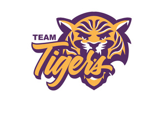 Tiger Mascot Graphic