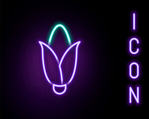 Glowing neon line Corn icon isolated on black background. Colorful outline concept. Vector