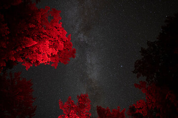 Night sky near Mont-Mégantic, the world’s first International Dark Sky Reserve