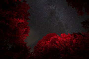 Fototapeta na wymiar Night sky near Mont-Mégantic, the world’s first International Dark Sky Reserve