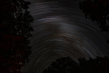 Fototapeta na wymiar Star trails over forest at night in Canada