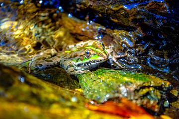 Vathres are small water natural pools with waterfalls along the mountain of Saos on Samothraki island, Greece.
