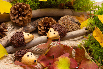 funny baked hedgehogs for autumn time