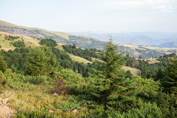 Naklejka premium Mountain nature landscape. Panoramic view of Kopaonik mountain landscape. Serbia.