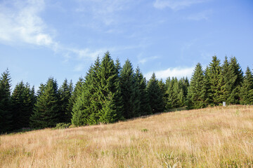 Mountain nature landscape. Panoramic view of Kopaonik mountain landscape. Serbia.