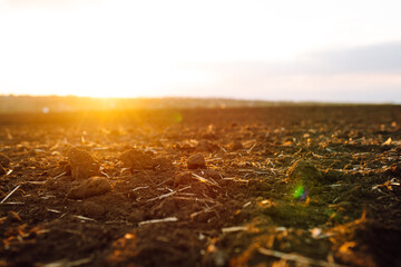 Plowed field at sunset. Agriculture, soil before sowing. Fertile land texture, rural field...