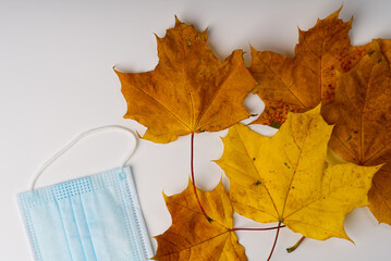 Autumn foliage of yellow and golden color and a medical mask lie on a white background.