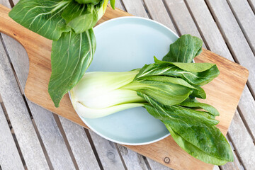 Bok choy, Chinese cabbage with round, round and open leaves. Vegetable of Asian origin