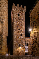 Tower of the Las Ciguenas Palace in Caceres at night, Extremadura, Spain