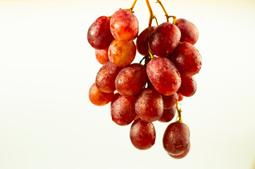 Pink grapes on the vine