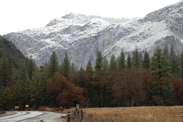 Paisagens Yosemite Park