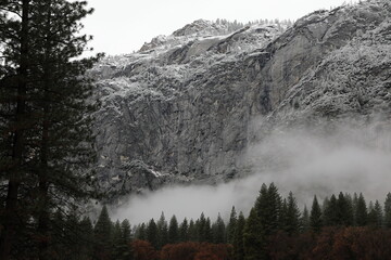 Paisagens Yosemite Park