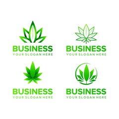 set of cannabis - nature leaf health and medical logo design vector