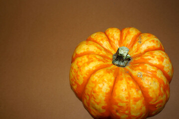 a small yellow and orange pumpkin stands close to the right on a brown background. side view