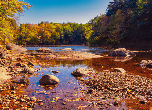 River with clean clear water flowing through a forest of Autumn colored leaves.
