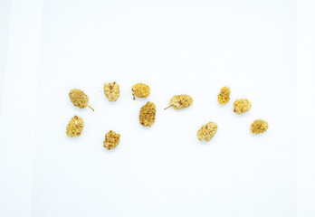 mulberry nuts dried dry