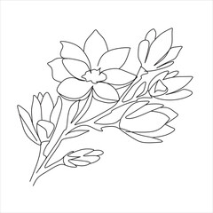 Abstract flowers one line vector
drawing.  Portrait minimalistic style. Botanical print. Nature symbol of cosmetics. Modern continuous line art. Fashion print.