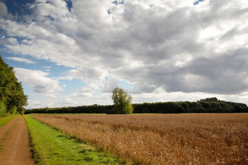 Buckinghamshire countryside in the uk