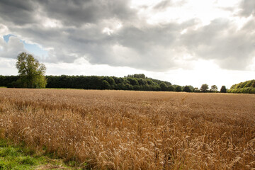 Obraz premium Buckinghamshire countryside in the uk