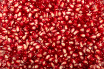 Pomegranate Seeds Isolated on White Background