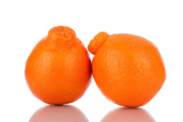 Two juicy organic mineoles, close-up, isolated on white.