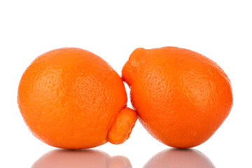 Two juicy organic mineoles, close-up, isolated on white.