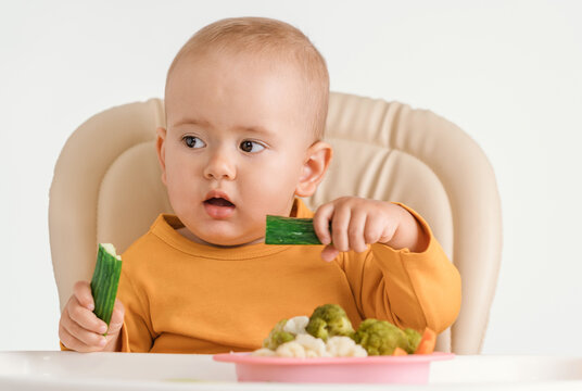 A baby on a feeding chair with two hands eats a fresh green cucumber. On a white background.